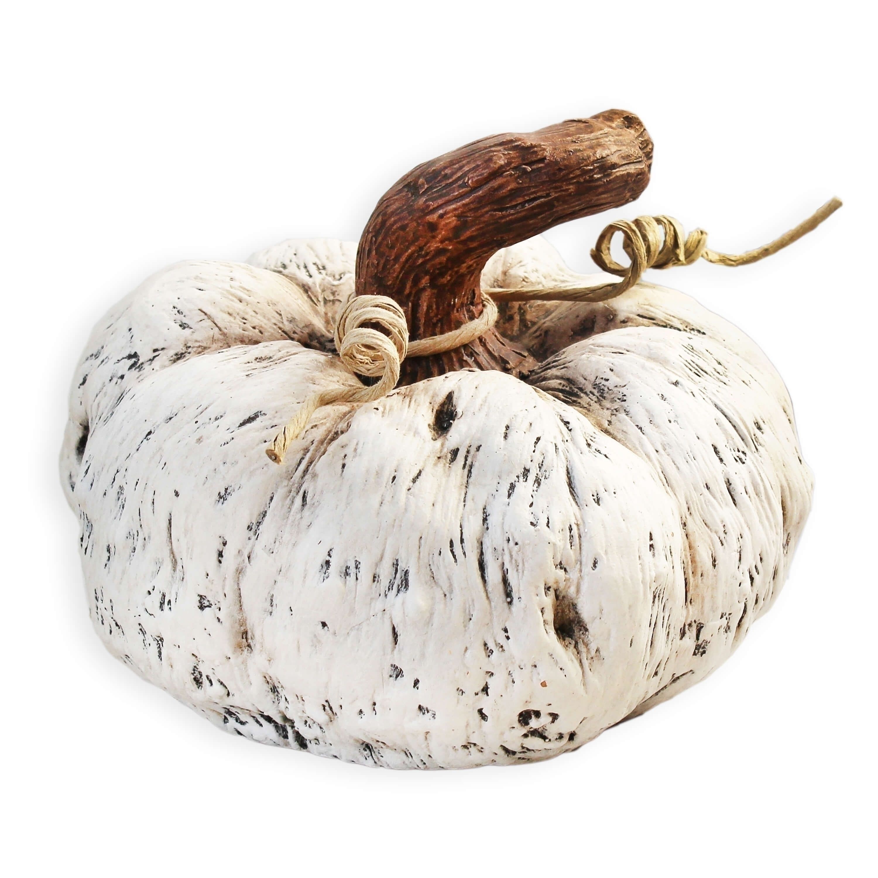 Jak využít dekorační dýně