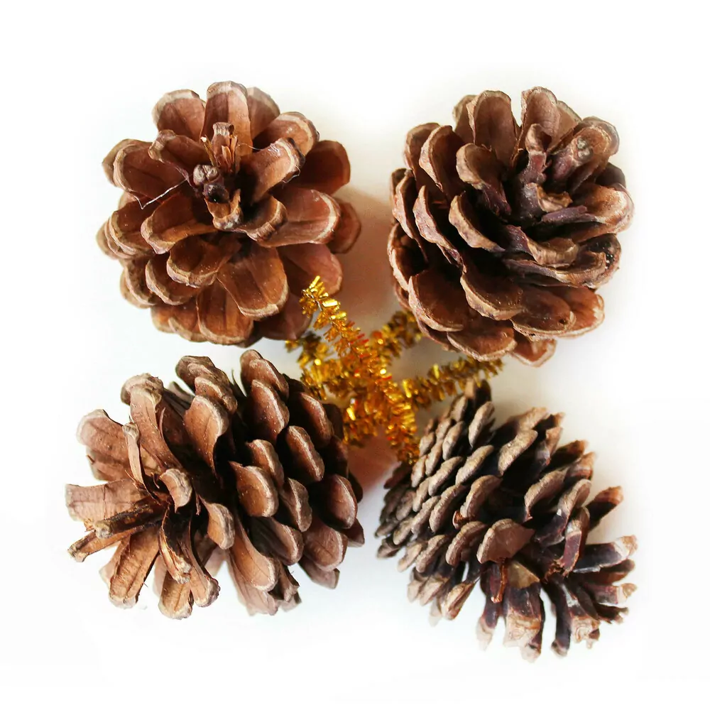  Šišky zápich 4ks/5cm