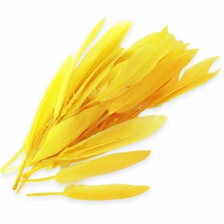 Peří brka S/25 žlutá