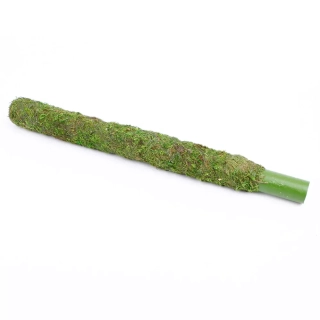 Tyč mech 91cm zelená