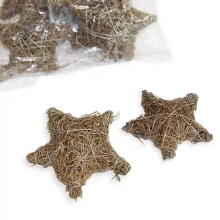 Su Clematisové Hvězdy 7,5cm Bělené 8ks