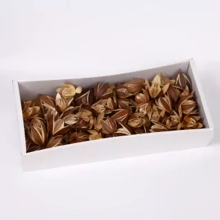 SU Divoká Lilie Přírodní 100ks