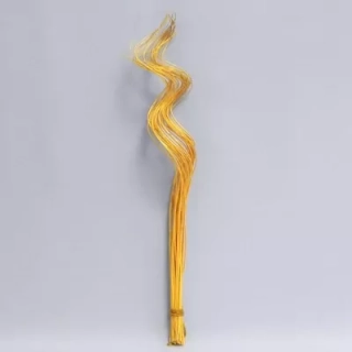 Sušina proutí kroucené 40ksx60cm žlutá