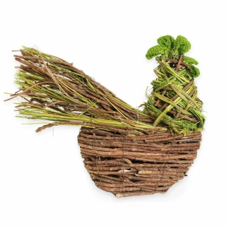 Kohout proutí 40x30cm zelená