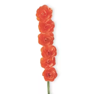 Deco růže dřevo 6ks/7cm oranž
