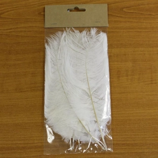 Peří 5ks/15-20cm bílá