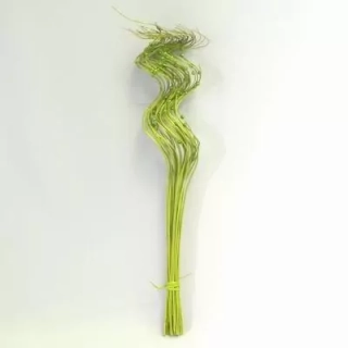 Proutí kroucené s perličkou 60cm zelená