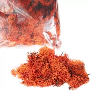 Sušina Muschio nordico 500gr arancio-oranžová