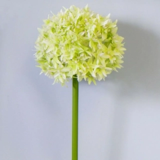 Česnek umělý V90cm zelená