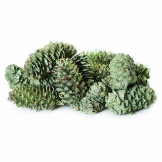 Dekorační sušené plody 130g mint
