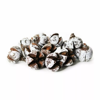 Šišky cypřiš 180g natural/bílá
