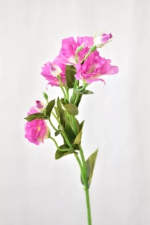 Umělá květina Eustoma 77 cm, růžovo-bílá