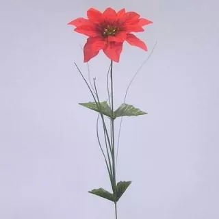 Poinsettia x1/14/45cm červená