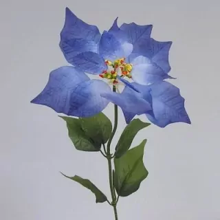 Poinsettie x1/22/V50cm modrá