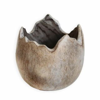  Skořápka polyresin 13cm natural