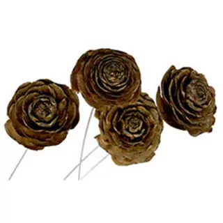  Růže na drátku 80ks natur
