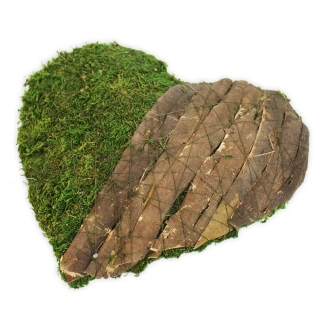  Srdce mech/kůra 30cm natur