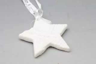 Hvězda porcelánová