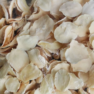 JACARANDA PODS BLEACHED POLY BAG (1KG)