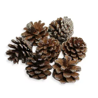Šišky 100g/4cm natur/stříbrná