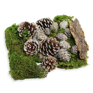 Šišky/kůra/mech přízdoby