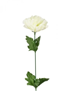 Chryzantéma krémová 48 cm