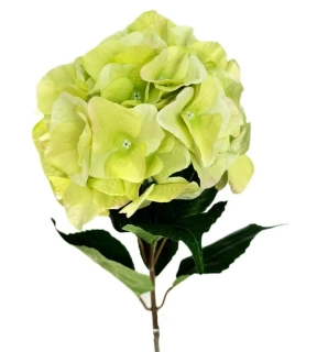 Hortenzie textil 68cm zelená