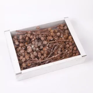 SU Bellgums na Stonku Frosted Oranžový 50ks