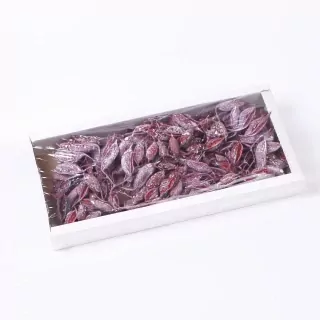 SU Brachyciton Frosted Erica 1kg
