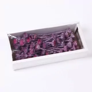 SU Compacta Rosette Frosted Brombeer 50ks