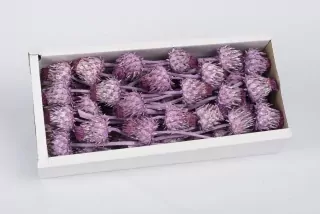SU Cynara Flower Frosted Brombeer 50ks