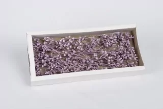 SU Mushroom Gum Frosted Brombeer 50ks