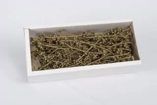 SU Mushroom Gum Přírodní 50ks