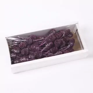 SU Platyspernum I Frosted Brombeer 50ks