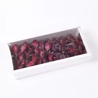 SU Protea Rosette 6-7cm Frosted Erica 50ks