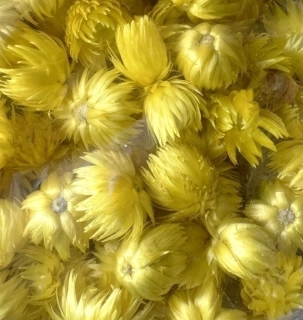 CAPBLUMEN LOOSE DIP DYED YELLOW POLY BAG ( 100 g )