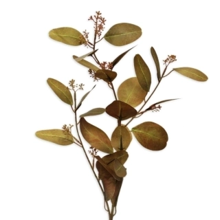 Eucalyptus větev 72cm hnědozelená