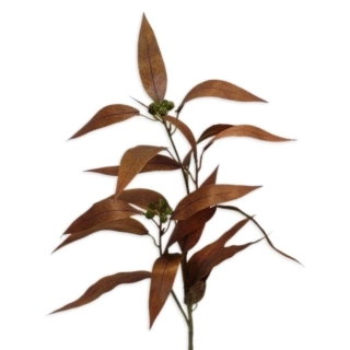 Eucalyptus větev 58cm hnědá