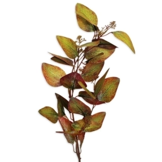 Eucalyptus větev 72cm hnědozelená