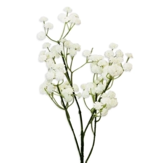 Gypsophila 62cm bílá