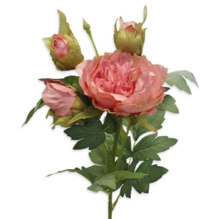 Pivoňky keřík 4x/79cm béžová