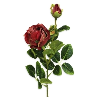 Růže x2/3cm/69cm bordó