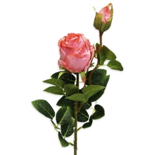 Růže x2/3cm/69cm růžovooranž