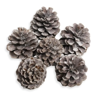 Šišky 6ks/6cm bělená