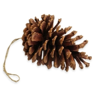 Šiška borovice závěs 13cm natural