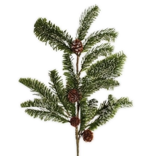 Jedle větev 60cm zelená