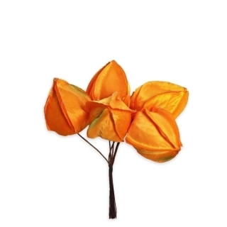 Physalis zápich x6/12cm oranž