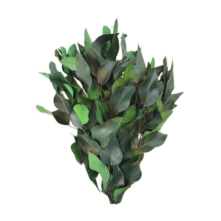 EUCALYPTUS WILLOW FOLIAGE ABSORBTION GREEN SLEEVE ( 150 g )