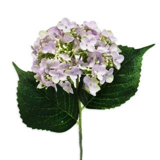 Hortenzie pr.15/58cm sv.fialová