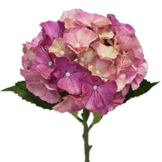 Hortenzie 20cm/52cm růžovofialová